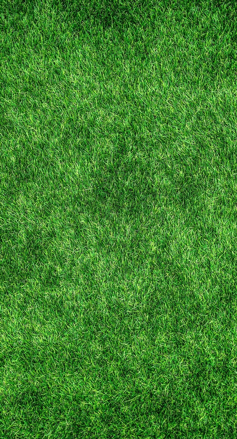 Eco-friendly cleaning products